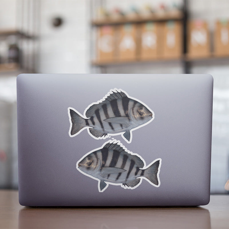 Sheepshead stickers on a laptop.