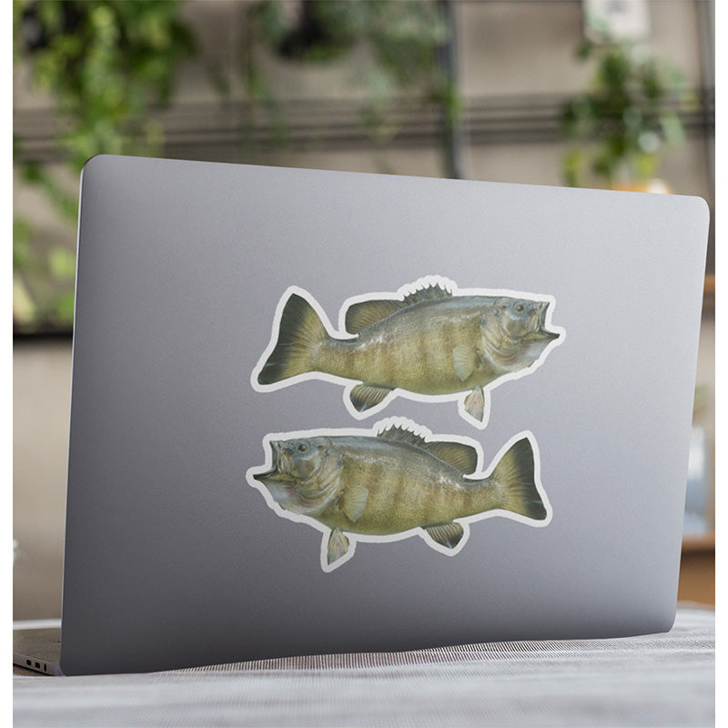 Smallmouth Bass stickers on a laptop.