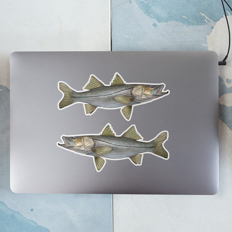 Snook stickers on a laptop.