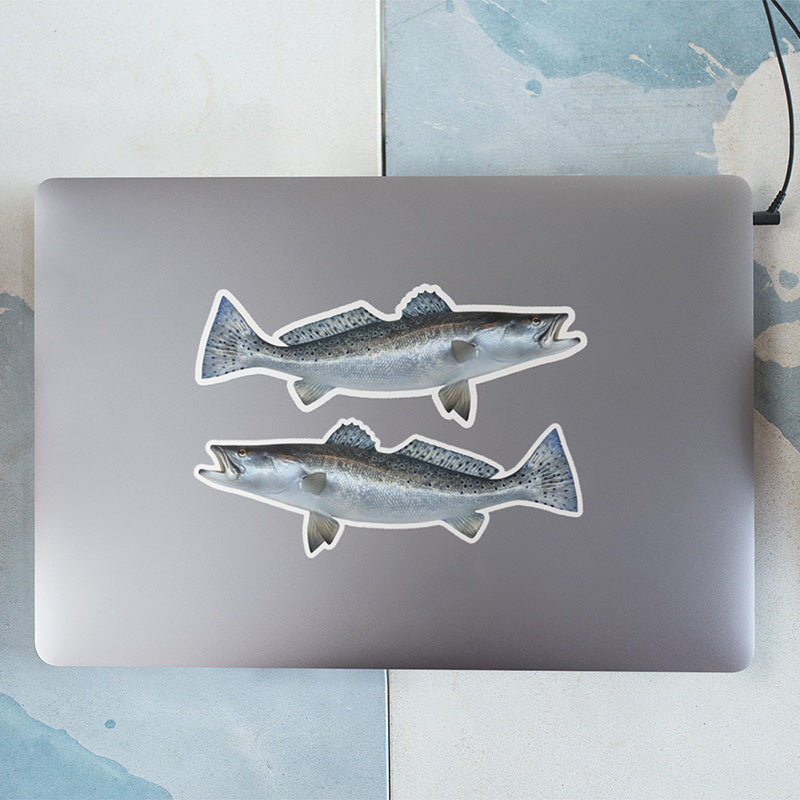 Spotted Seatrout stickers on a laptop.