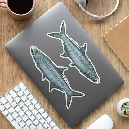 Tarpon stickers on a laptop.