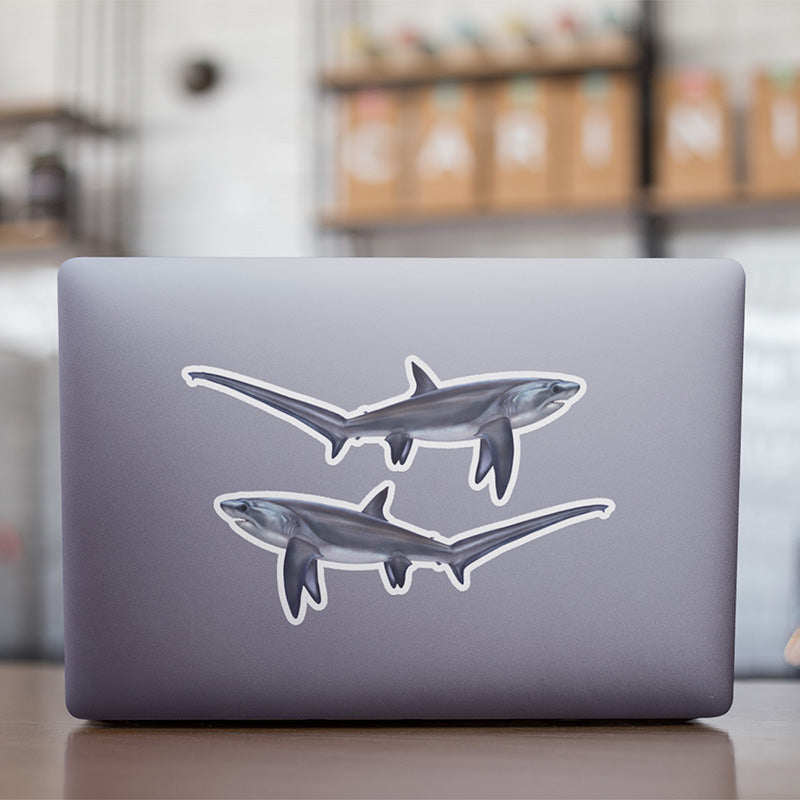 Thresher Shark stickers on a laptop.