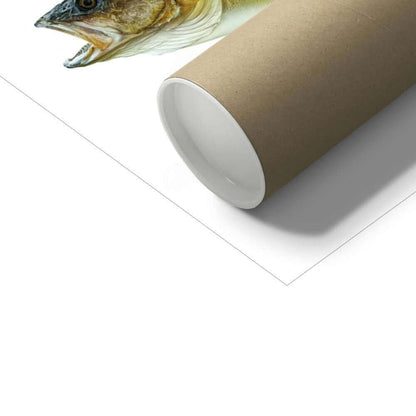 Walleye - Art Print