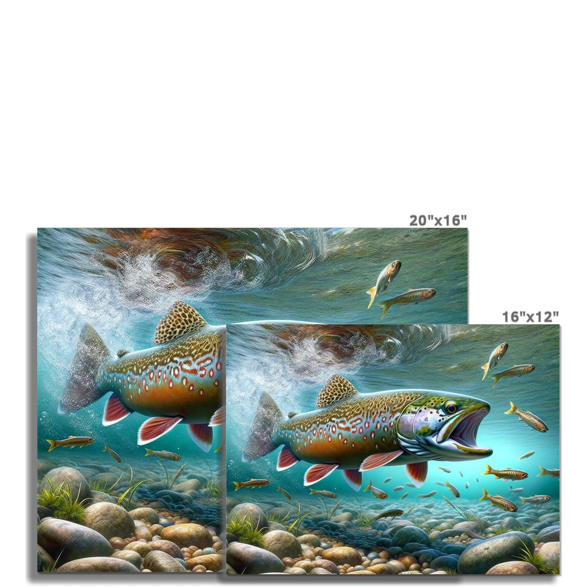 Brook Trout | Poster