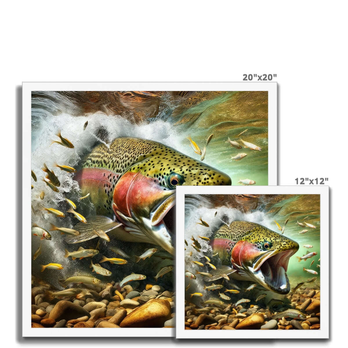 Rainbow Trout | Framed Print