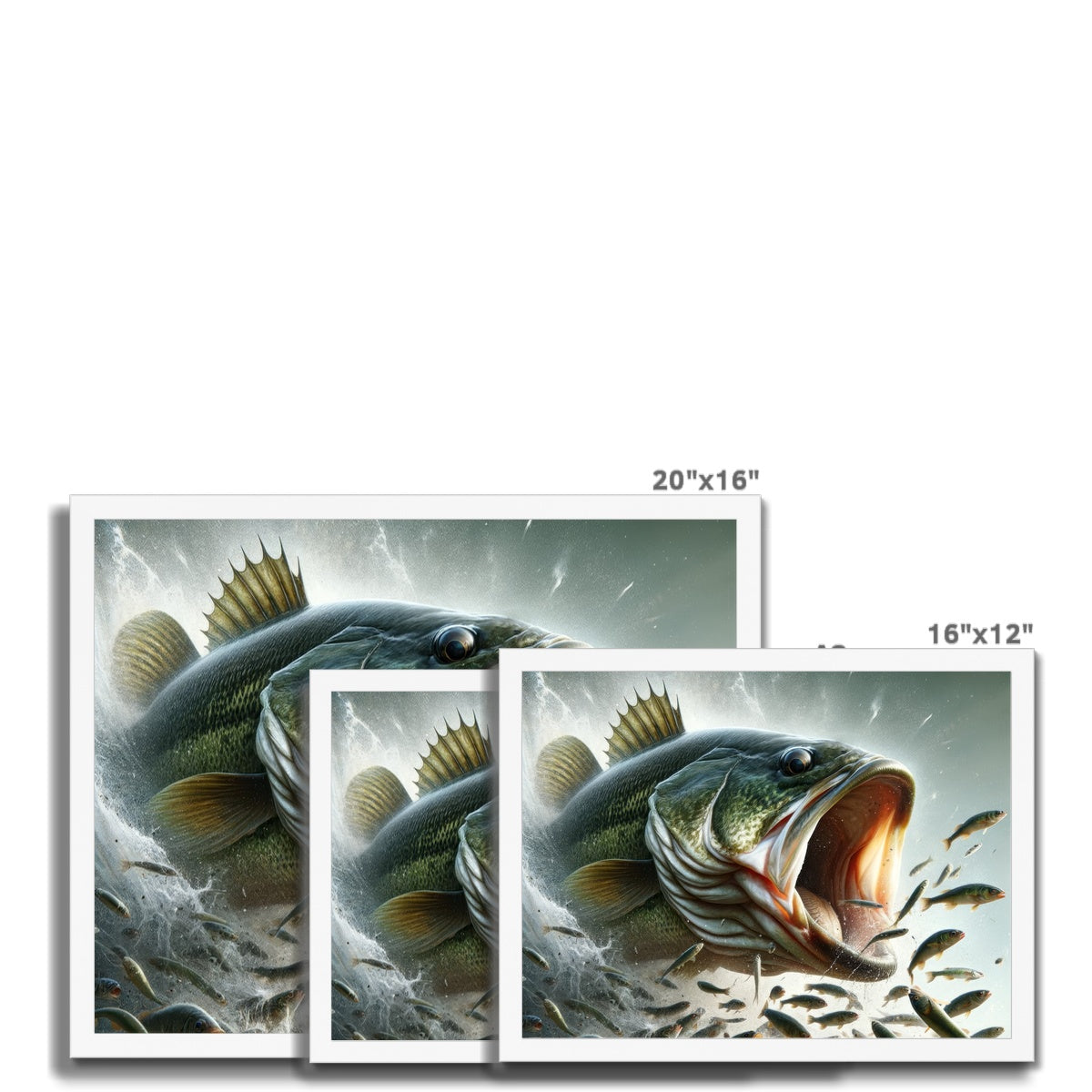 Largemouth Bass | Framed Print