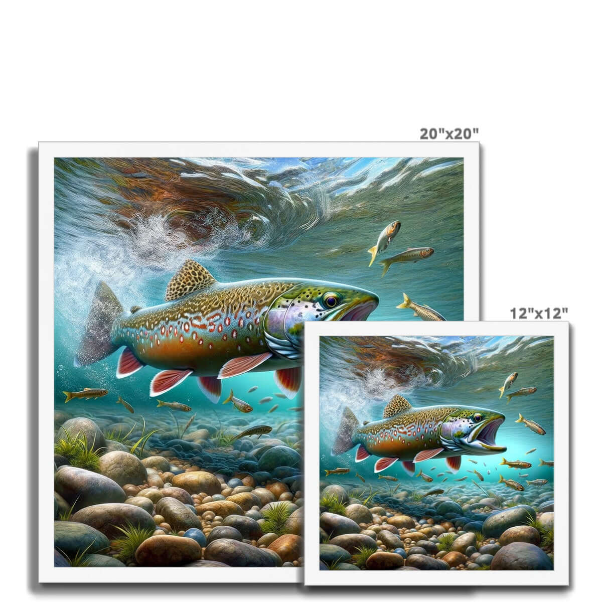 Brook Trout | Framed Print