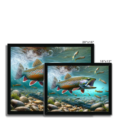 Brook Trout | Framed Print