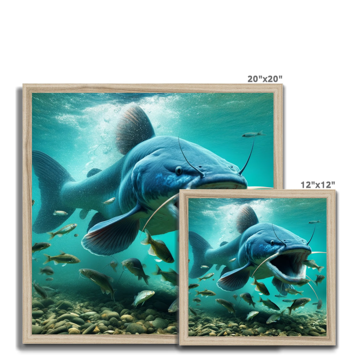 Blue Catfish | Framed Print