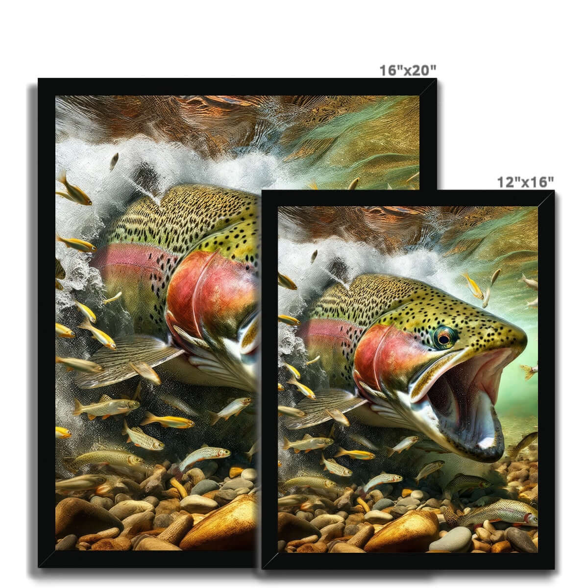 Rainbow Trout | Framed Print