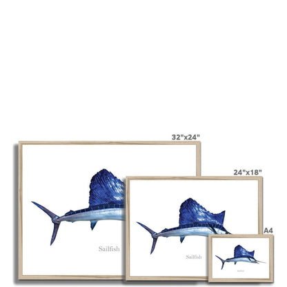 Sailfish - Framed Print