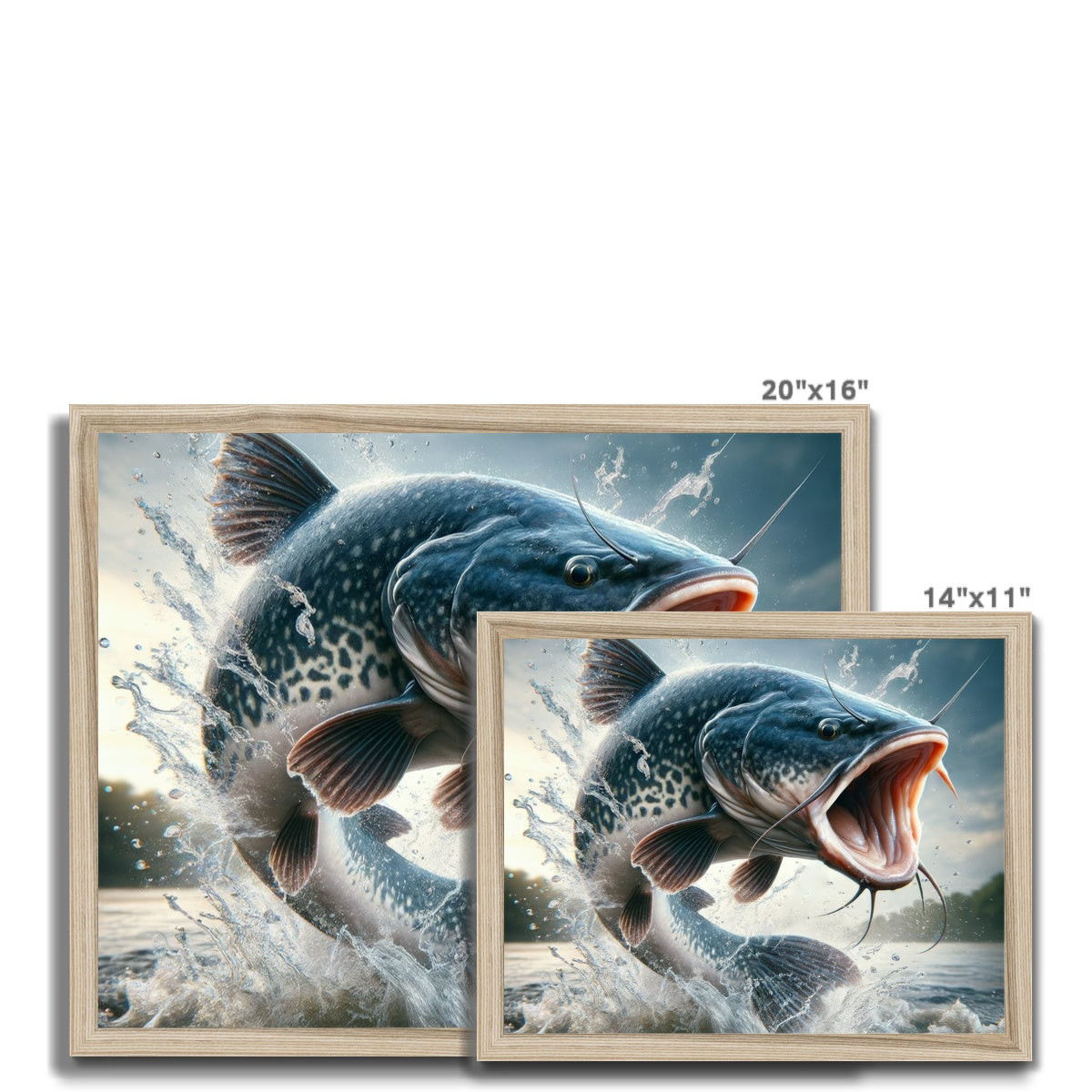Catfish | Framed Print