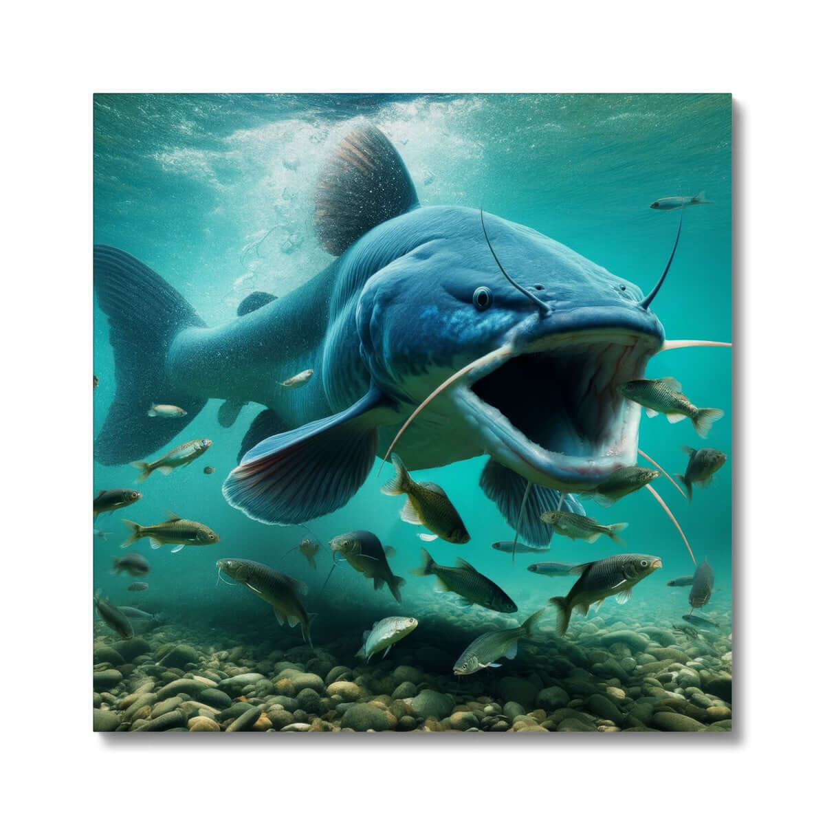 Blue Catfish | Canvas