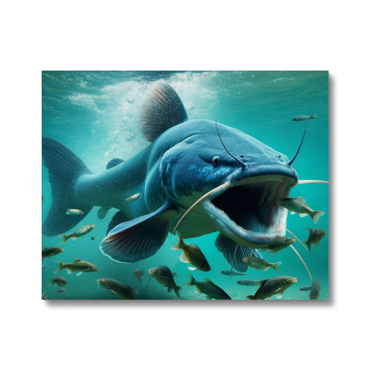 Blue Catfish | Canvas