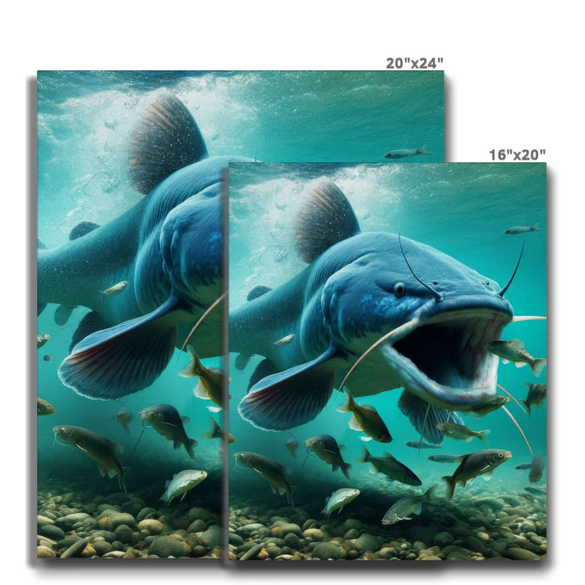 Blue Catfish | Canvas