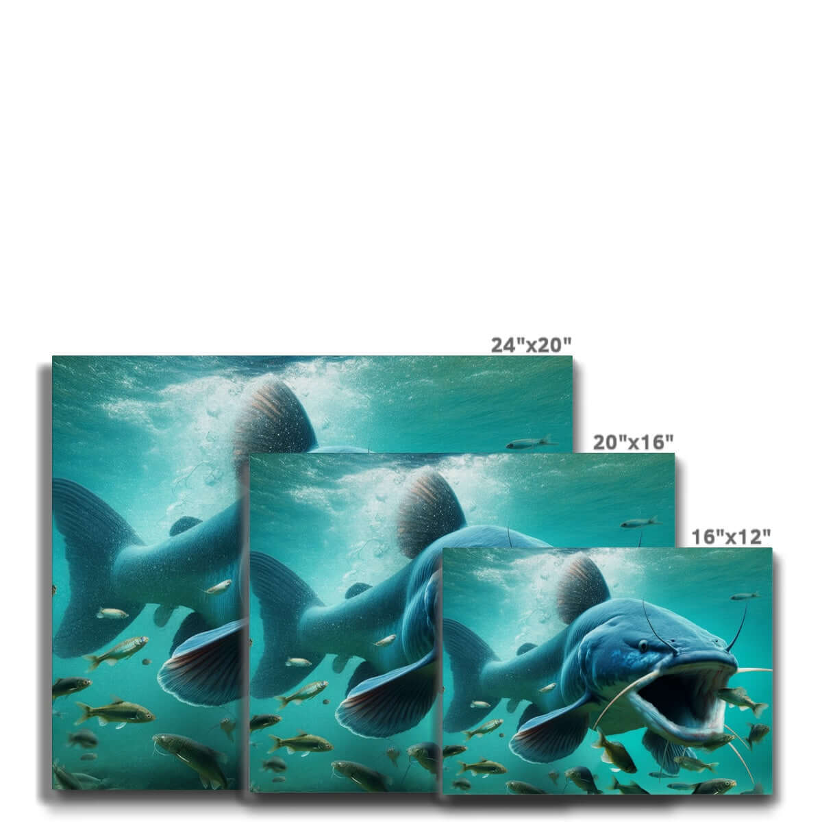 Blue Catfish | Canvas