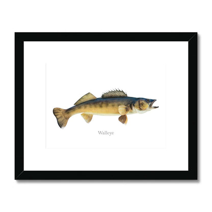 Walleye - Framed & Mounted Print