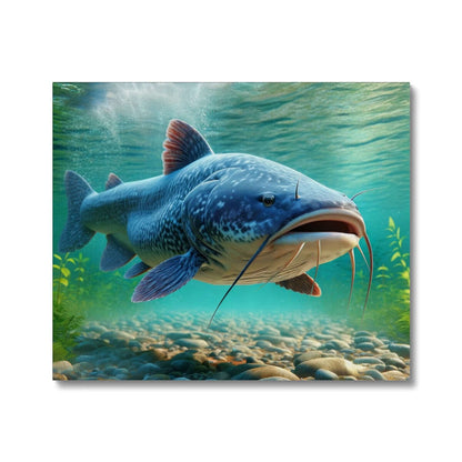 Catfish | Canvas Print