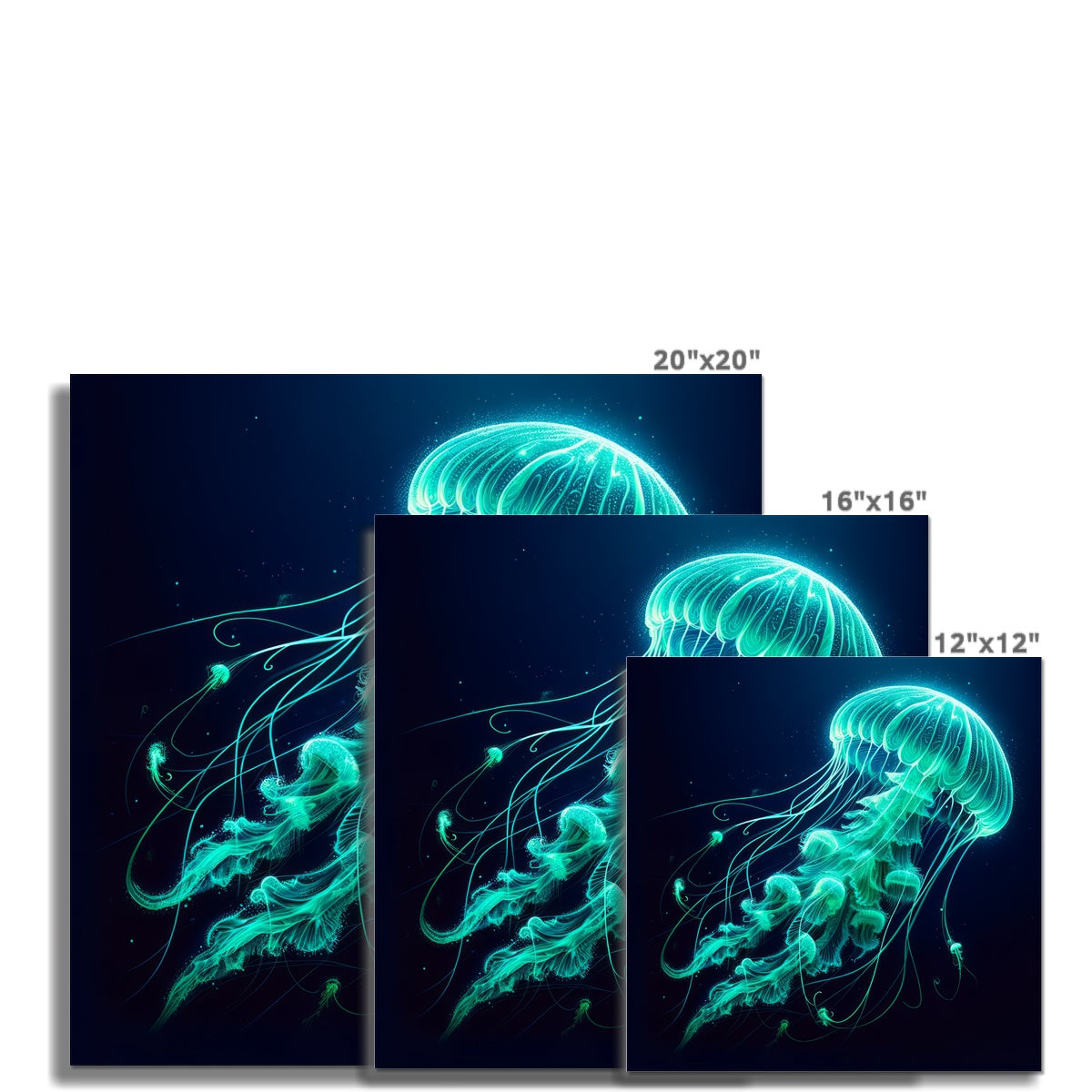 Jellyfish | Poster