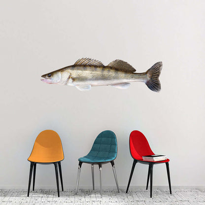 Modern room decor with colorful chairs and mounted fish art on a light wall.