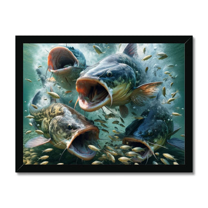 Catfish | Framed Print