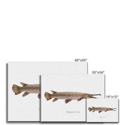 Three canvas sizes featuring an alligator gar illustration: 40"x30", 32"x24", and 16"x12".