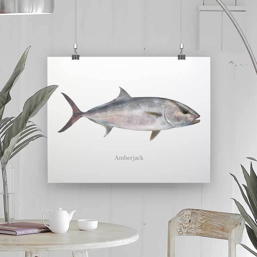 Amberjack - Art Print - madfishlab.com