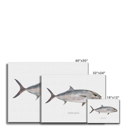 Amberjack - Canvas Print - madfishlab.com