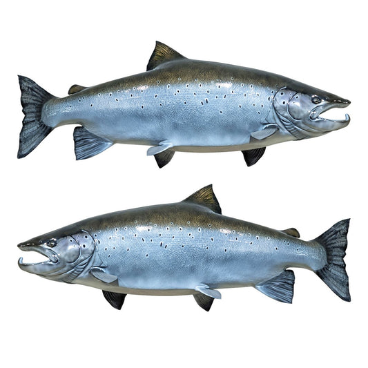 Atlantic Salmon  waterproof outdoor decals, left and right facing. 