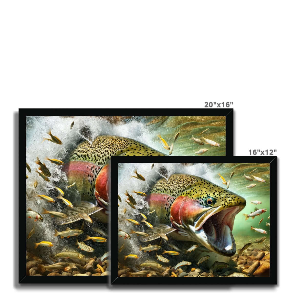 Rainbow Trout | Framed Print