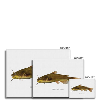 Black Bullhead - Canvas Print - madfishlab.com