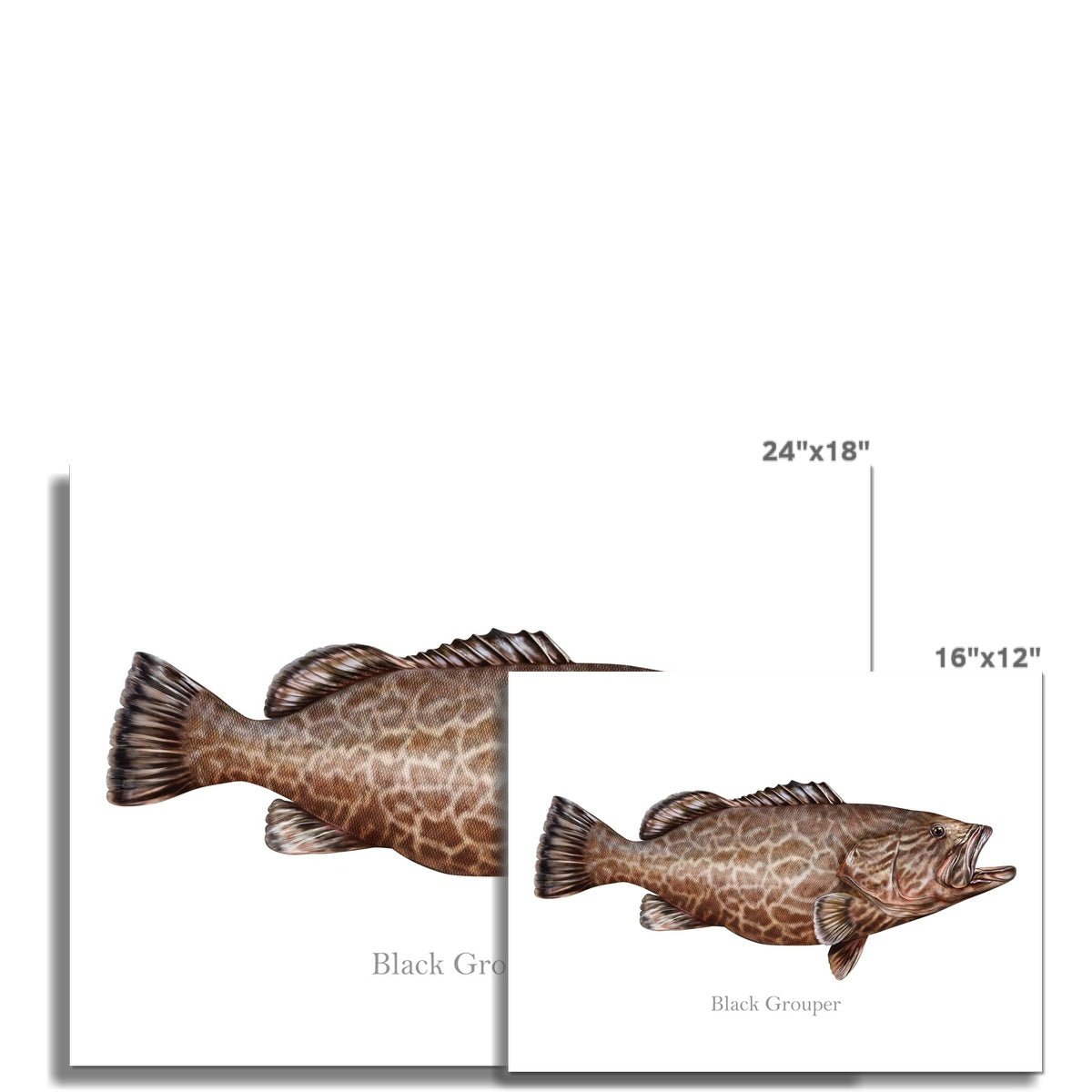 Black Grouper - Art Print - madfishlab.com