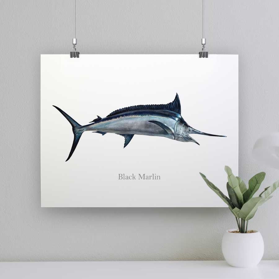 Black Marlin - Art Print - madfishlab.com