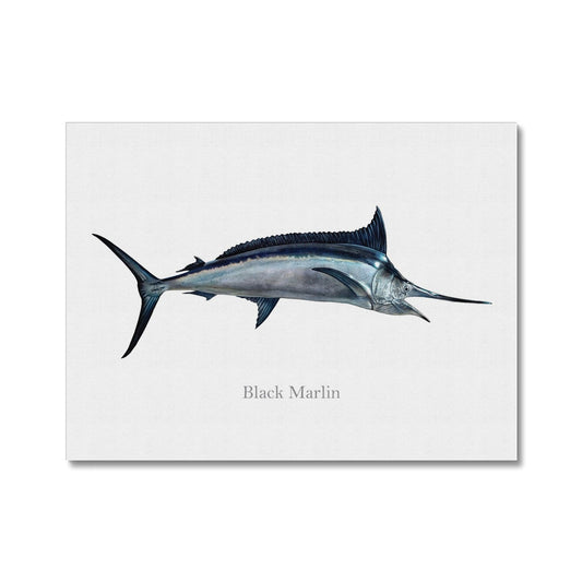 Black Marlin - Canvas Print - madfishlab.com