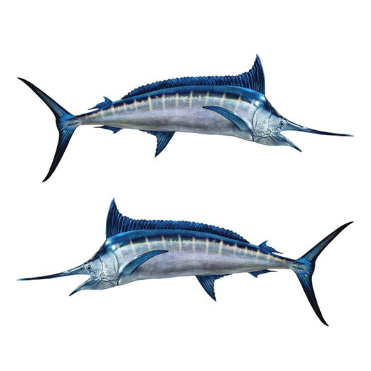 Blue Marlin Large Decals, Stickers | 16-60" | Left/Right Facing - madfishlab.com
