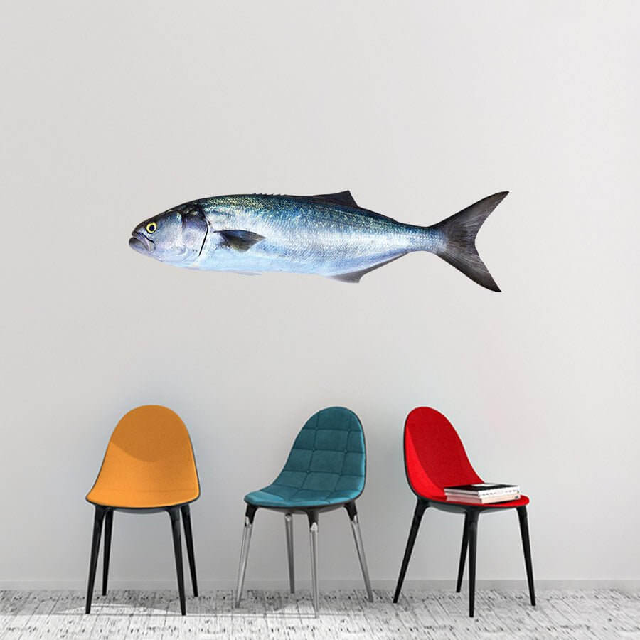 Colorful modern chairs under a decorative fish wall art in a minimalist room setting.