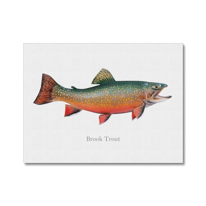 Brook Trout - Canvas Print - madfishlab.com