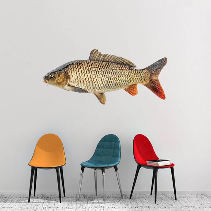 Carp fish wall decal above colorful chairs in living room