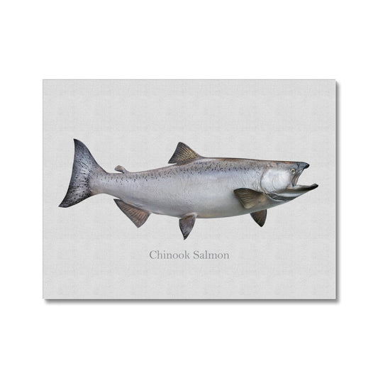Chinook Salmon - Canvas Print - madfishlab.com