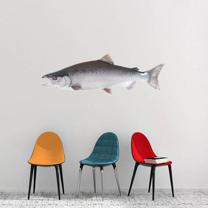 Coho salmon fish wall decal above colorful chairs in modern room.