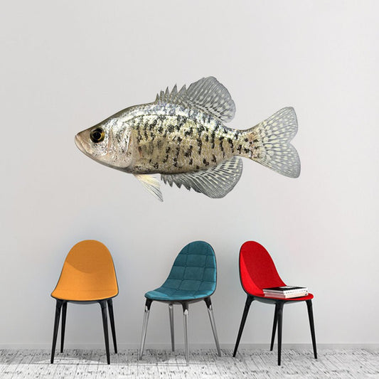 Crappie Wall Decals | 40"-60" | Left/Right Facing - madfishlab.com