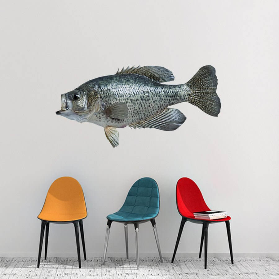 Customizable 40"-70" crappie fish wall decals, perfect fishing wall decor, add up to 10 lines of text, large fish wall sticker.