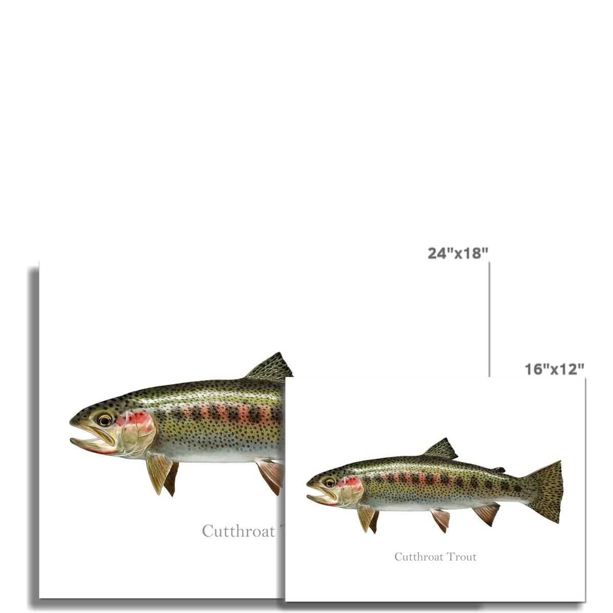 Cutthroat Trout - Art Print - madfishlab.com