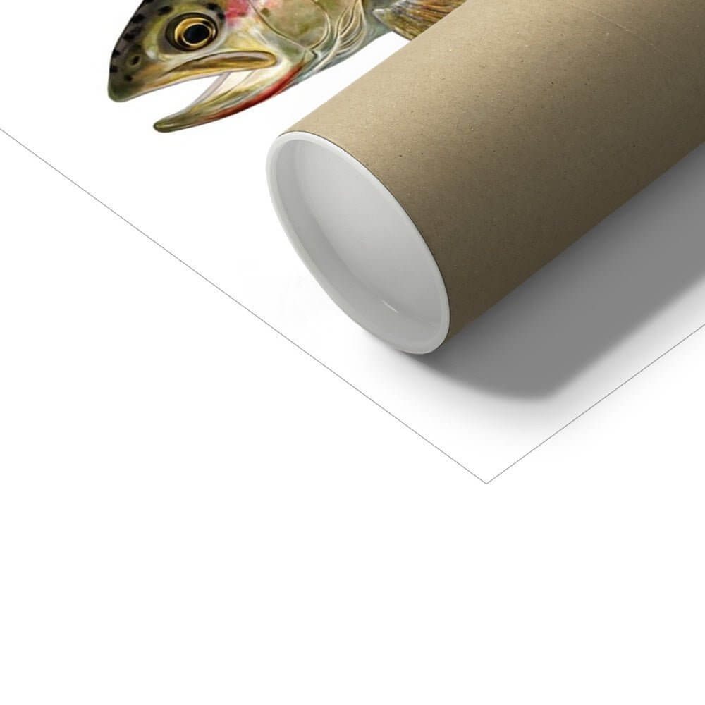 Cutthroat Trout - Art Print - With Scientific Name - madfishlab.com