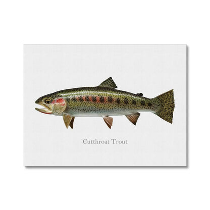 Cutthroat Trout - Canvas Print - madfishlab.com