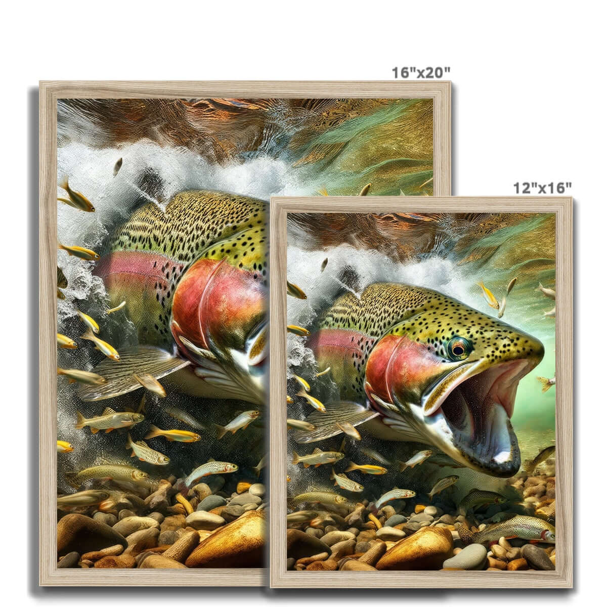 Rainbow Trout | Framed Print