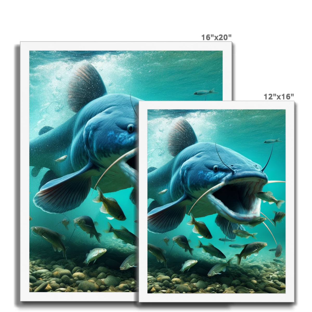 Blue Catfish | Framed Poster
