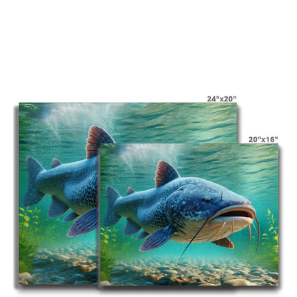 Catfish | Canvas Print