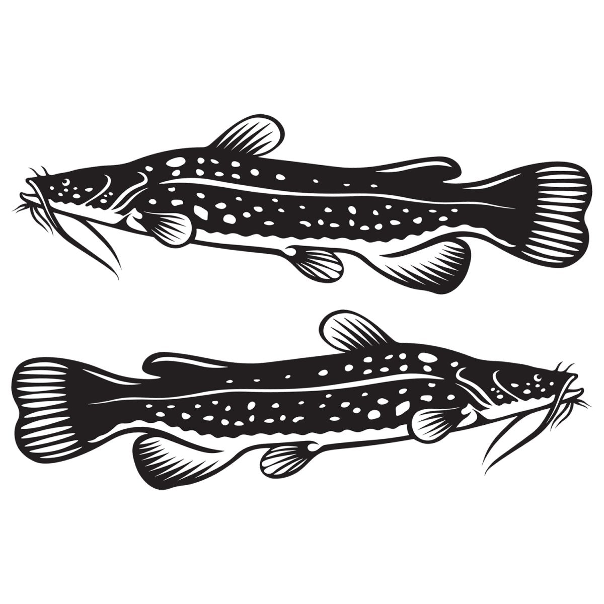 Flathead Catfish Decals | 12"-60" | Left/Right Facing - madfishlab.com
