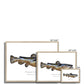 Flathead Catfish - Framed Print - With Scientific Name - madfishlab.com